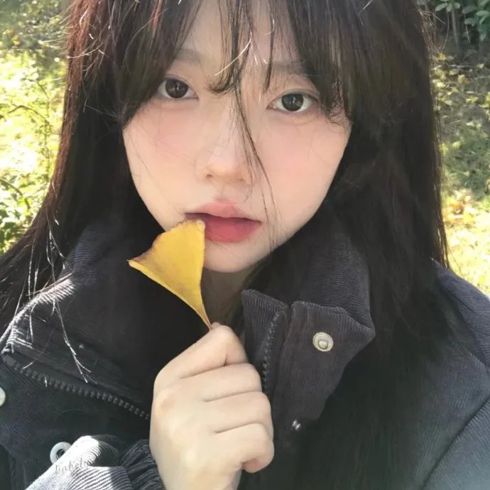 落红 在线观看